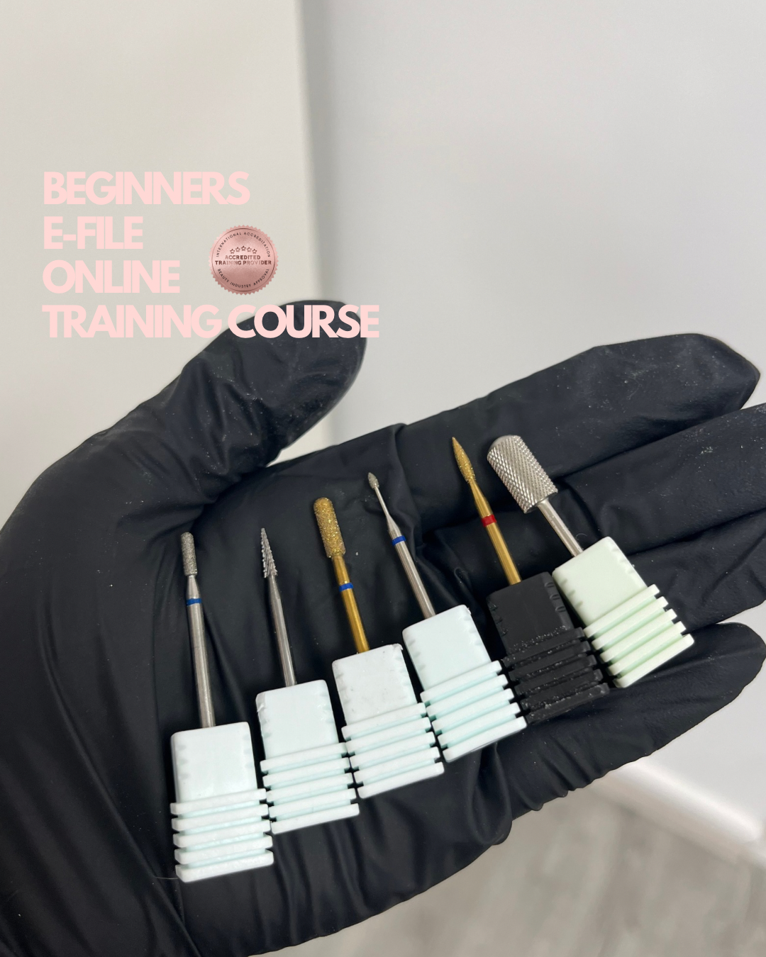 Online E-file training course