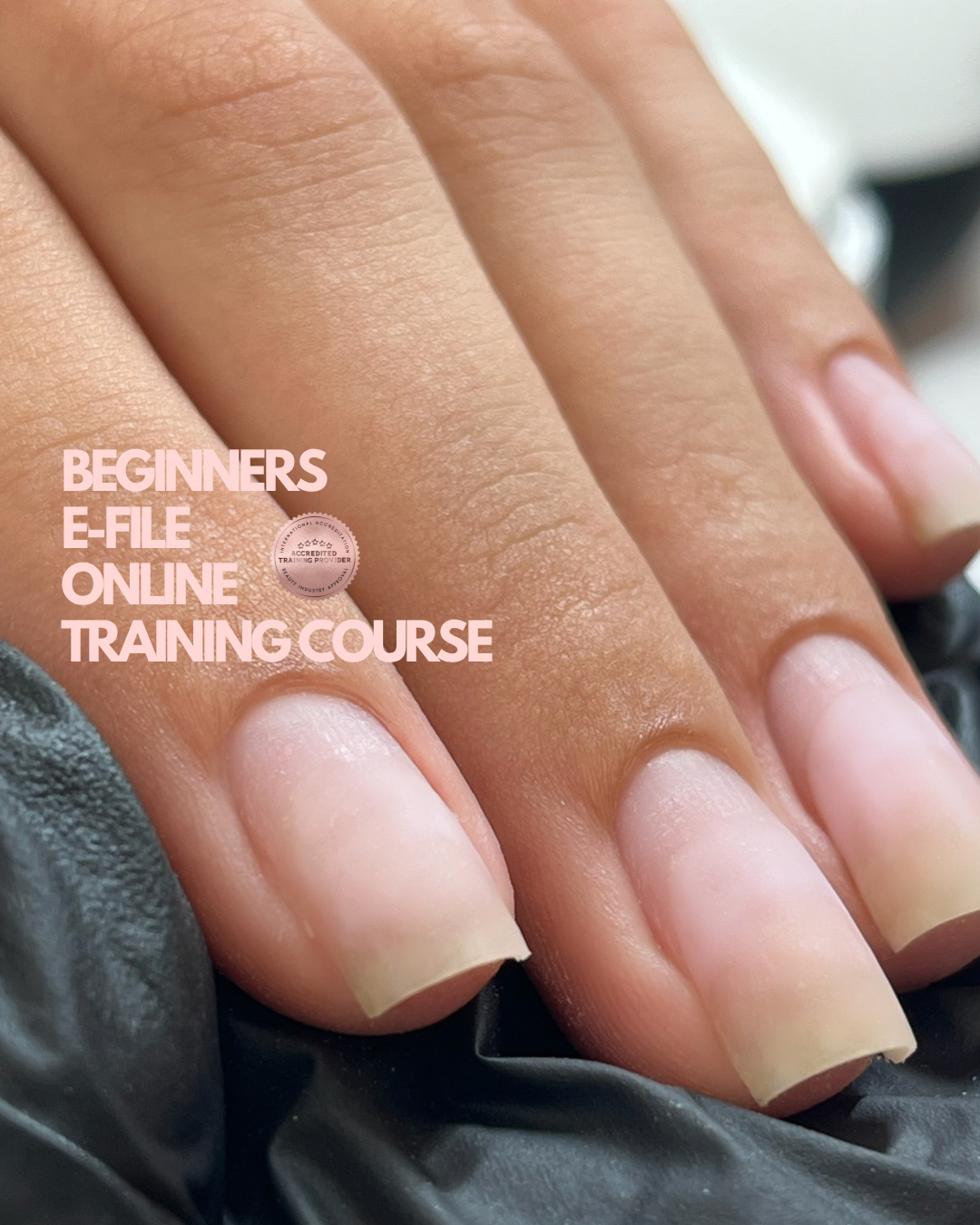 Online E-file training course